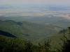 DSC00101